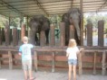 /album/fotogalerij/p8090437-jpg/